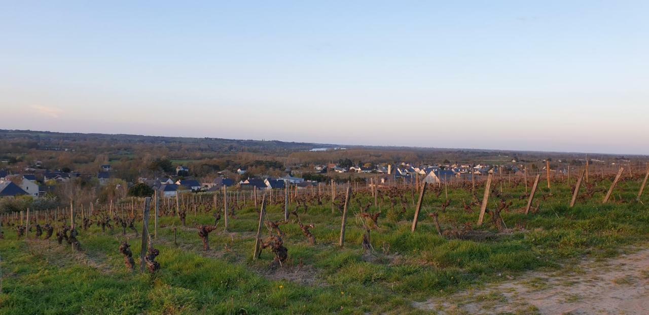 Clos Sainte Catherine Rochefort-sur-Loire Eksteriør billede